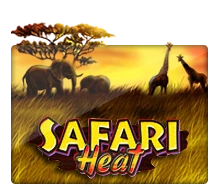 Joker123 : Safari Heat - STOREBET77